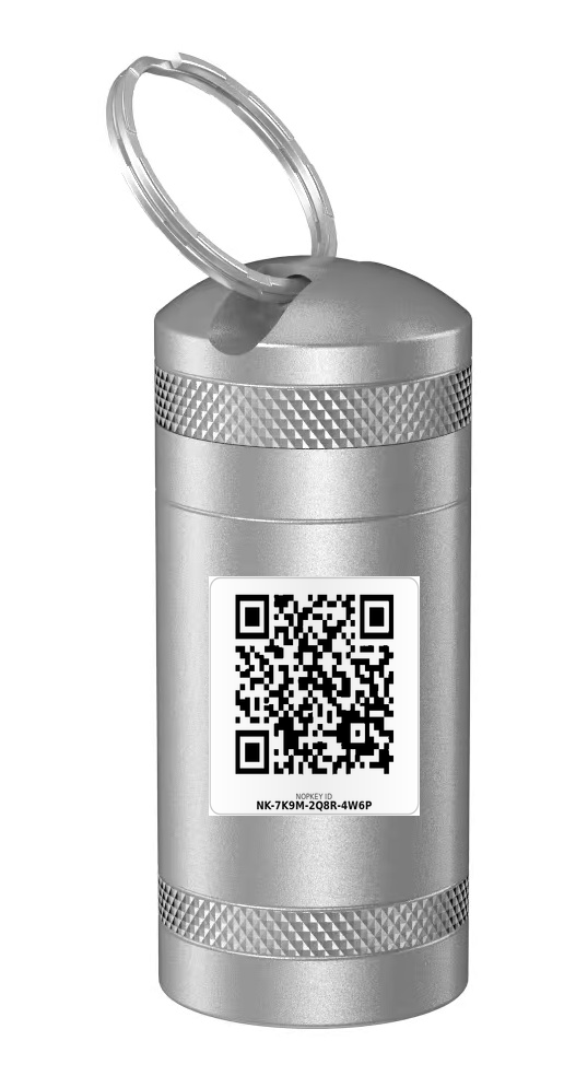 Silver NOPKEY Security Key Case with a 16 by 16 millimetre ID Label